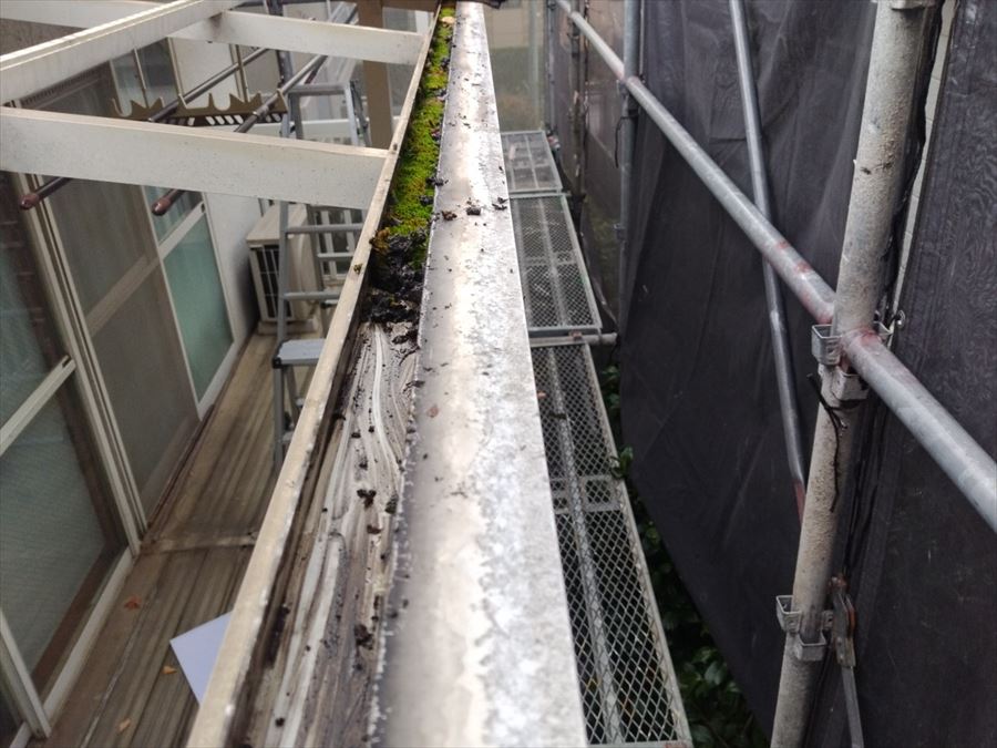 DCP PHOTO - 塗装職人・東京店 雨樋の掃除