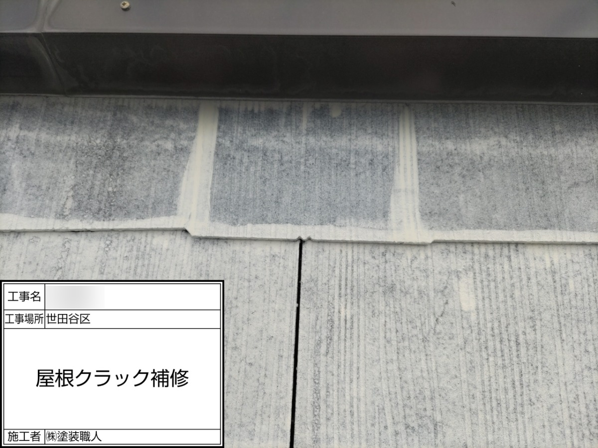 p25505-020 世田谷区の戸建て塗装工事:ひび割れ補修部の接写