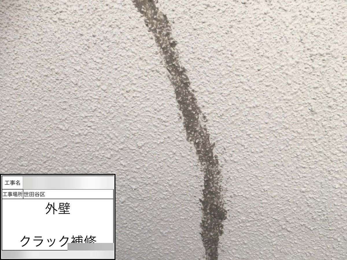 setagaya-12 菅職人が外壁のひび割れを補修