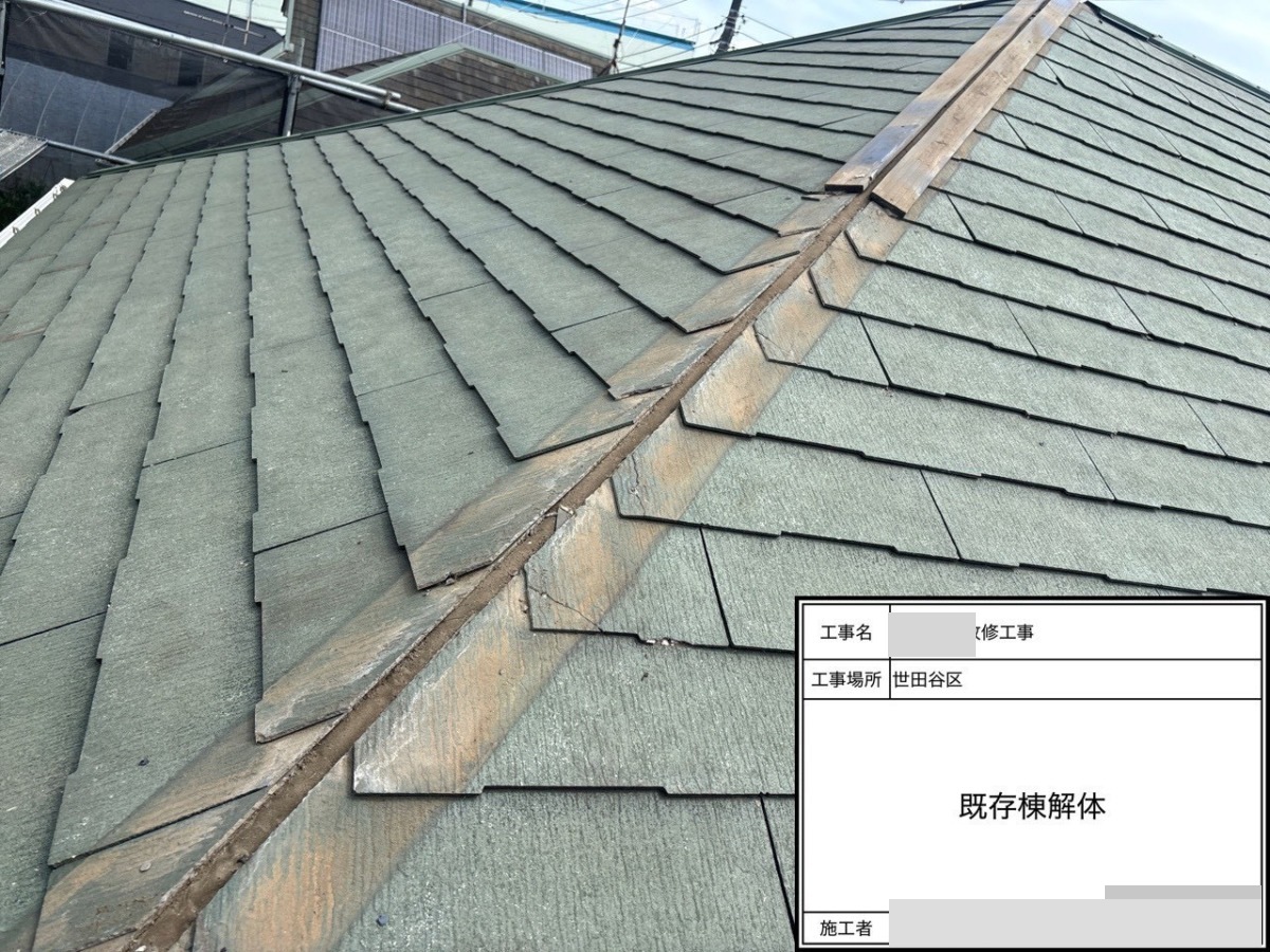setagaya-bettaku-09 棟まわりの既存部材を撤去した状態