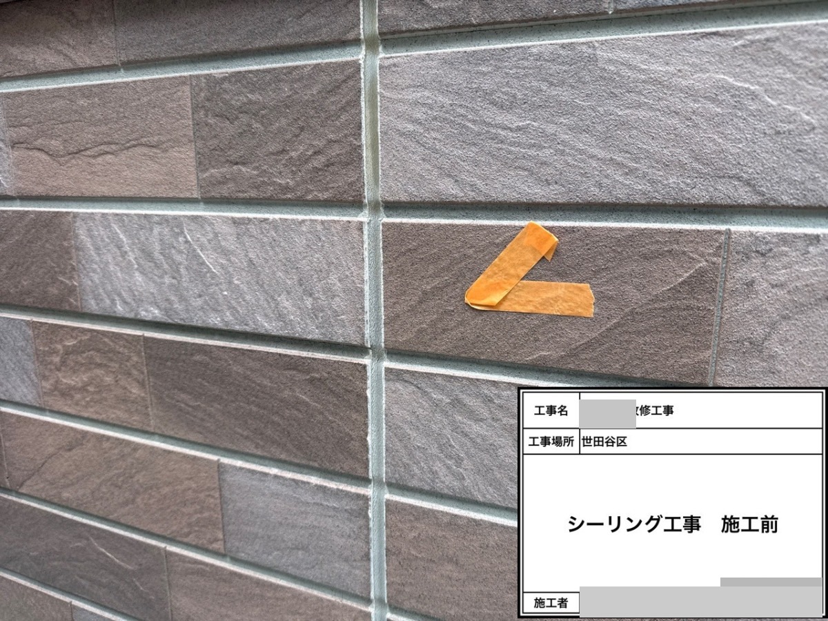 setagaya-bettaku-18 シーリング工事前の外壁目地