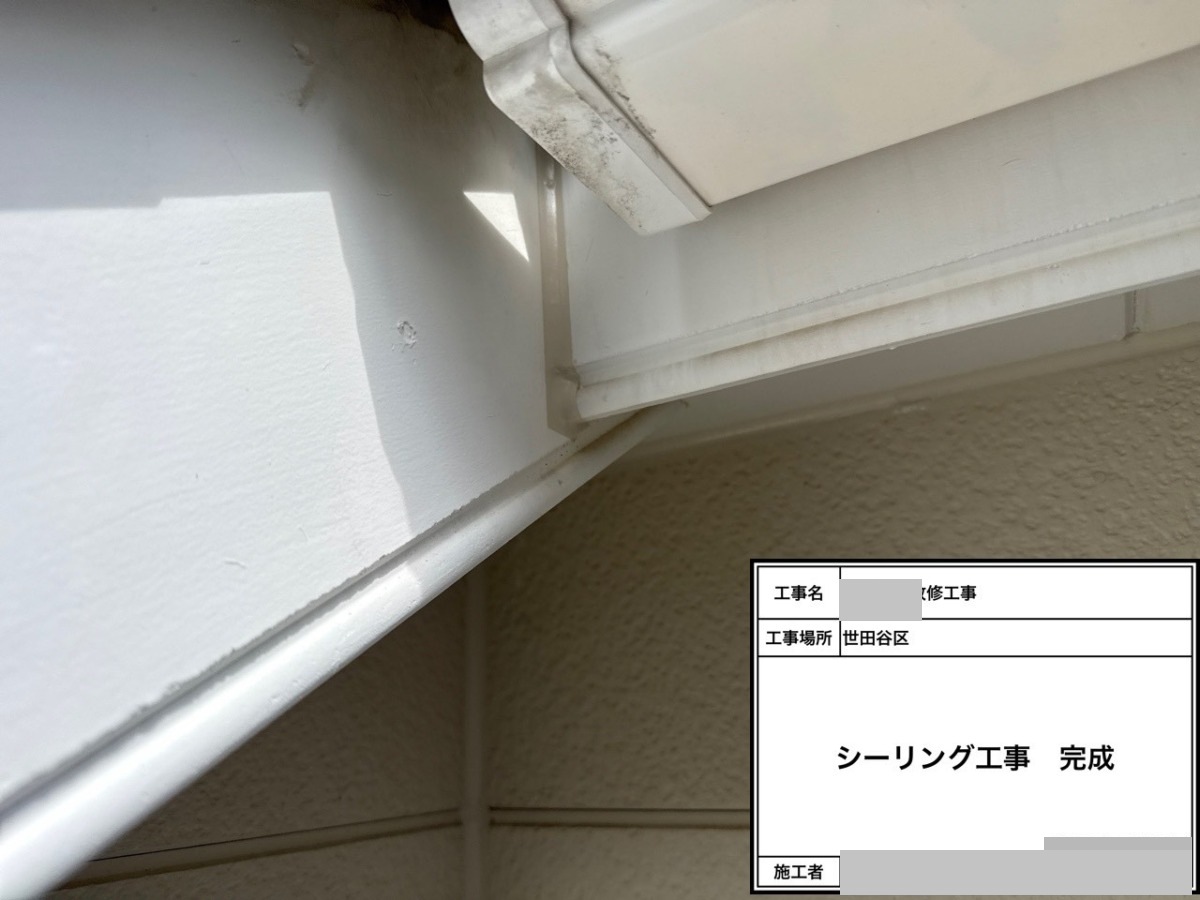 setagaya-bettaku-30 配管まわりのシーリング施工後