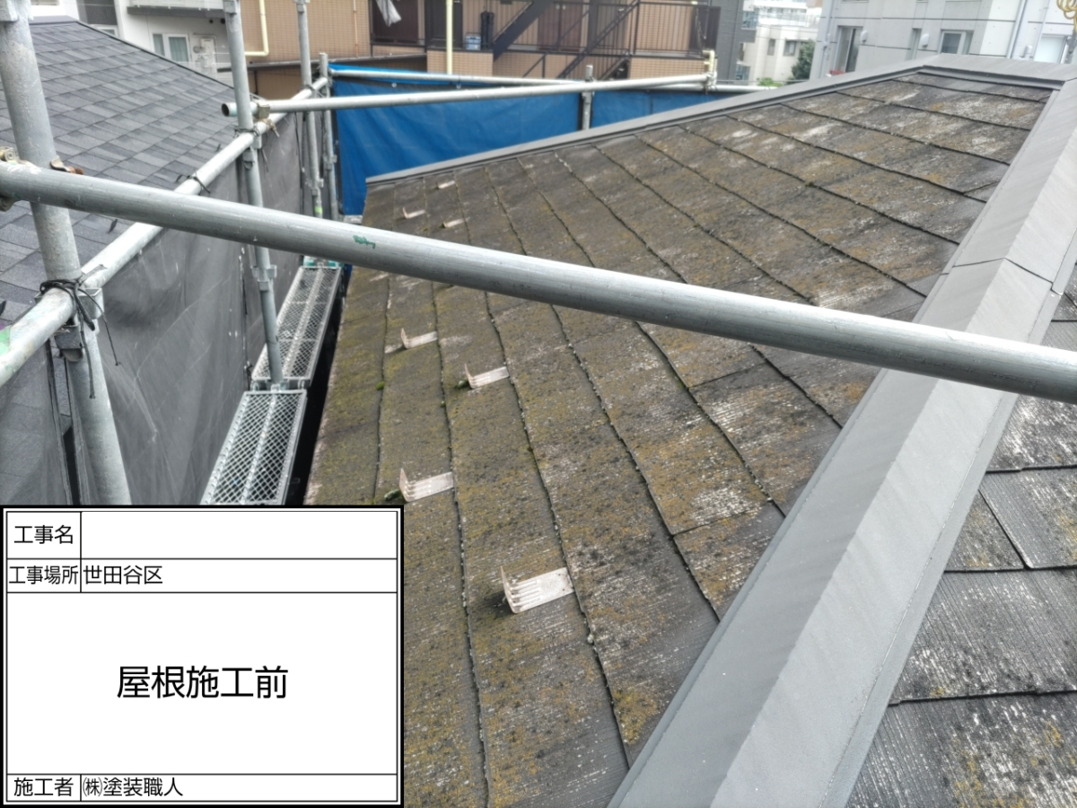 高圧洗浄前のスレート屋根に付着した苔 高圧洗浄前のスレート屋根に付着した苔