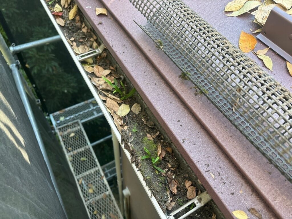 落ち葉がたまった雨樋